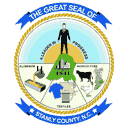 Logo for Stanly County
