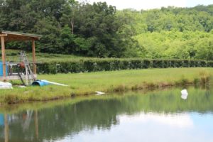 Cover photo for Workshop to discuss FDA's Proposed Water Rule for Produce Farms