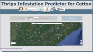 Cover photo for Use the Thrips Forecasting Tool to Make Preplant Management Decisions (Kennedy, Chappell, Huseth & Reisig)
