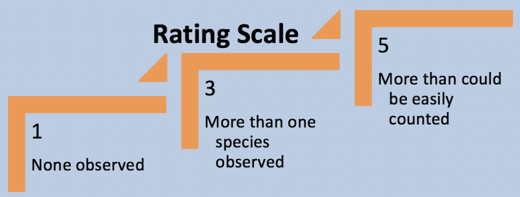 rating system