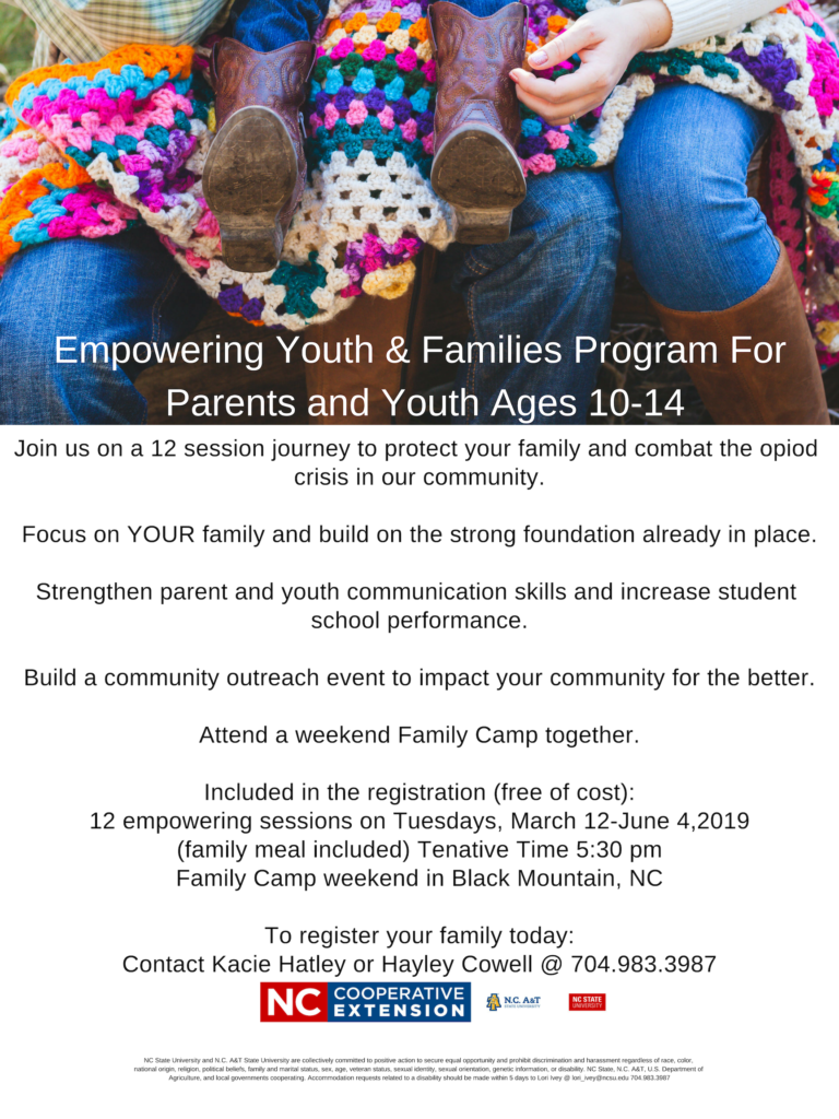 Empowering Youth & Families Program flyer