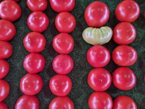 Cover photo for Farmers Markets During the Pandemic: A Vendor's Perspective