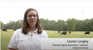 Cover photo for Video: Controlling Pasture Weeds