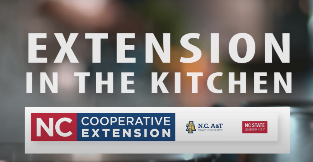 Extension in the Kitchen logo