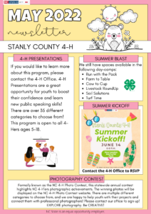 yellow/pink newsletter with 4 text boxes