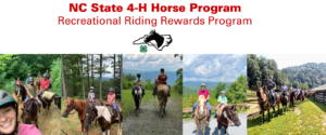 Cover photo for December 2022 NC 4-H Horse Program Newsletter