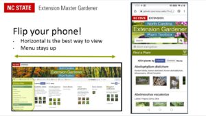 Cover photo for TIP for Using the Plant Toolbox on Your Mobile Phone