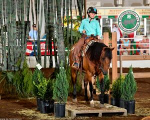 Cover photo for September 2023 NC 4-H Horse Program Newsletter