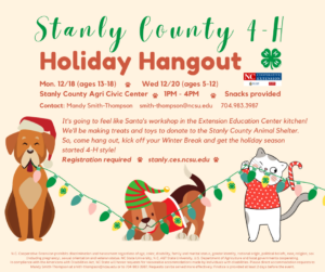 Cover photo for 4-H Holiday Hangouts