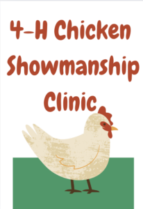 Cover photo for 4-H Chicken Showmanship Clinic