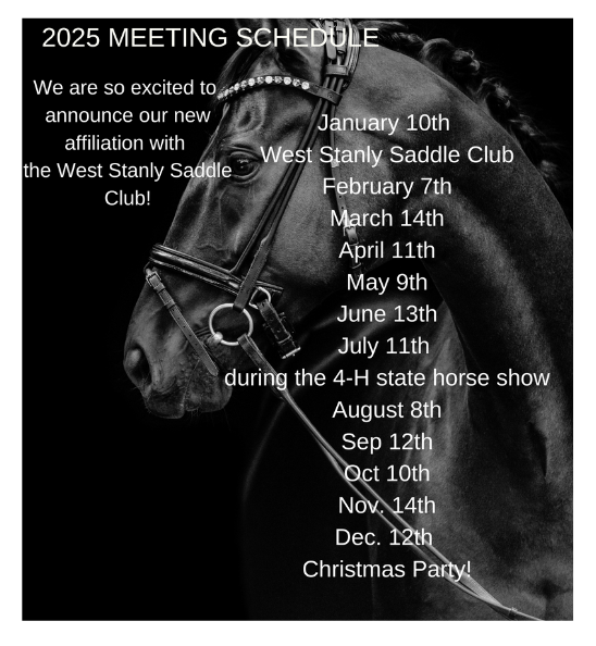 Image of a black horse on a black background with club meeting dates written in the foreground