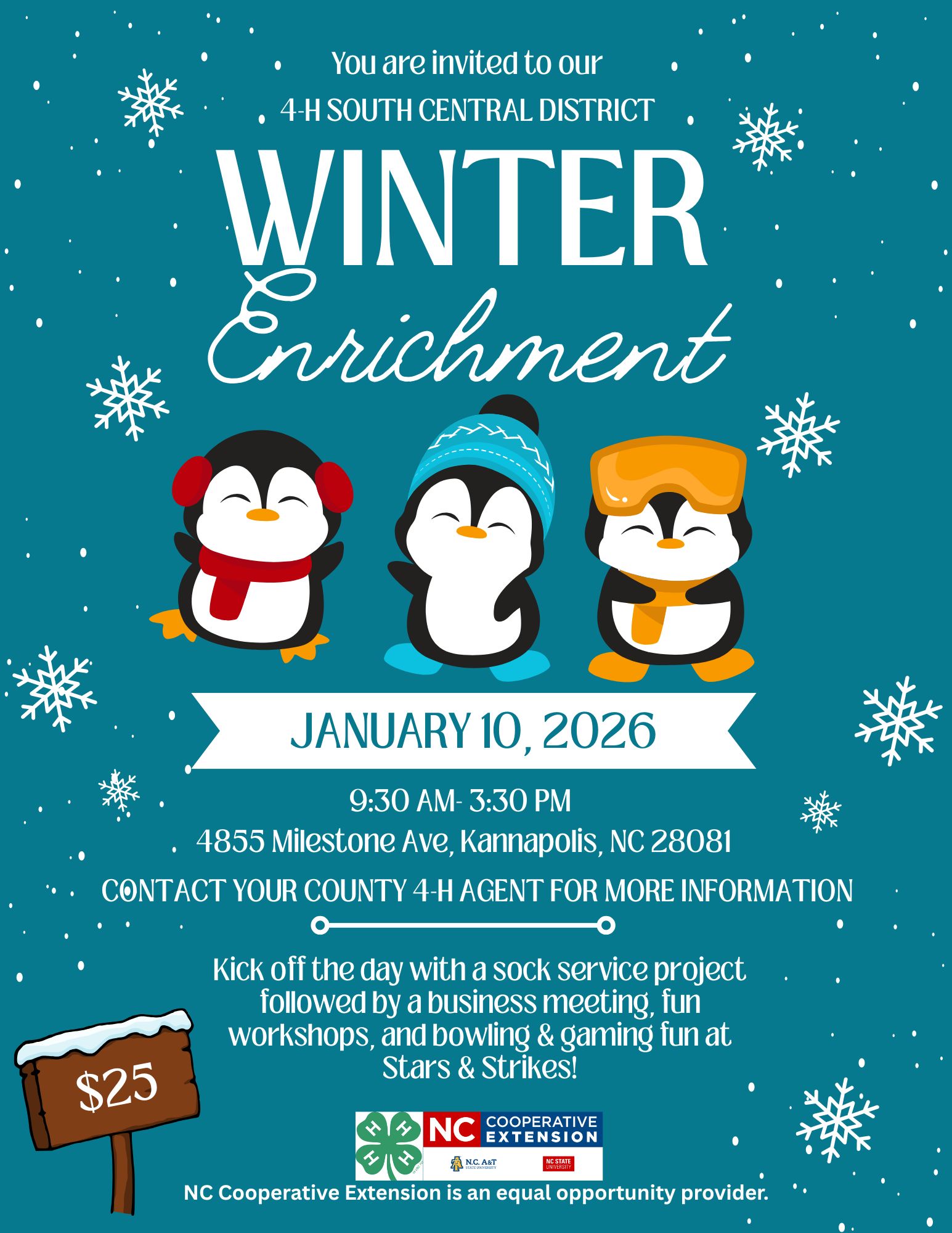 Flyer with a teal background, snowflakes and penguins dressed in winter gear with South Central District Winter Enrichment event details